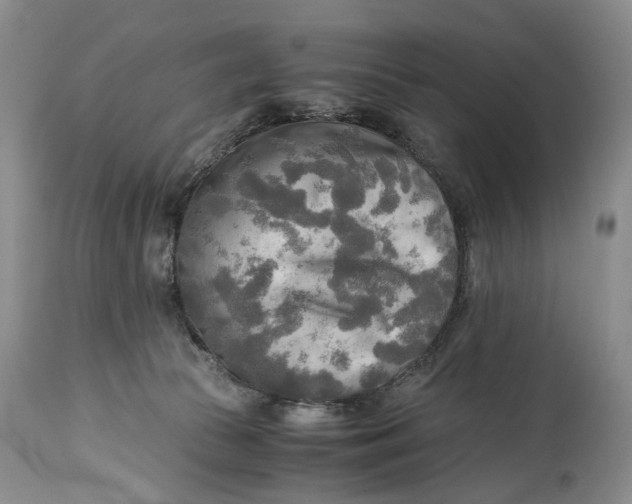 X0000114560177200911091226