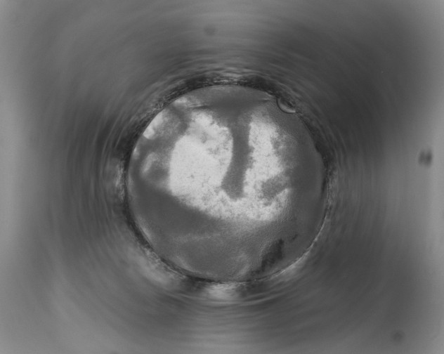 X0000114560178200911091226