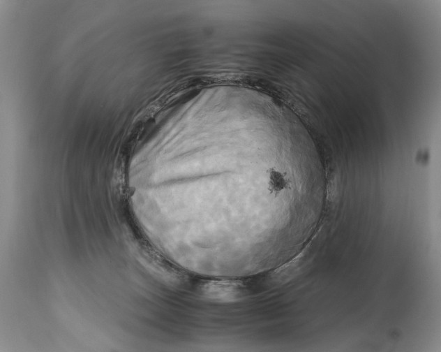 X0000114560179200911091226