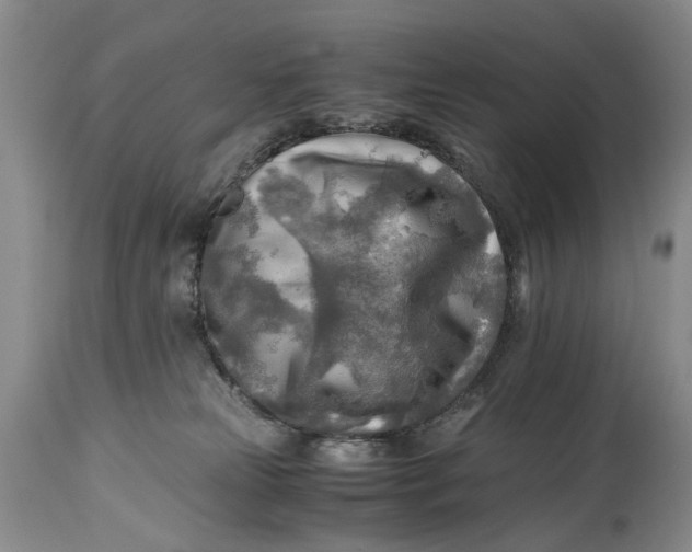 X0000114560181200911091226