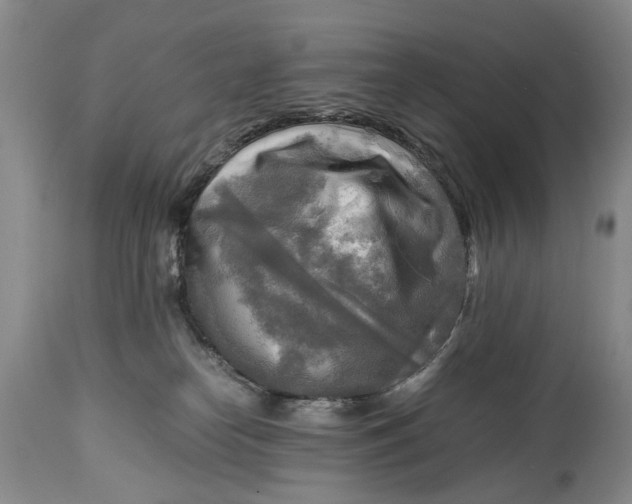 X0000114560182200911091226