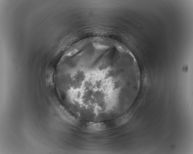 X0000114560185200911091226