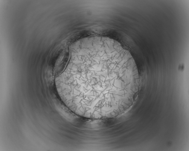 X0000114560186200911091226