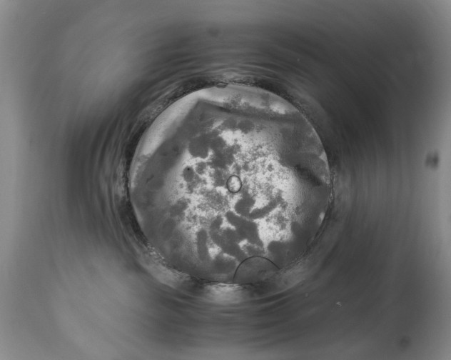 X0000114560189200911091226