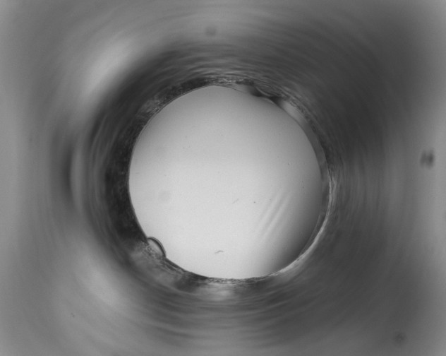 X0000114560190200911091226