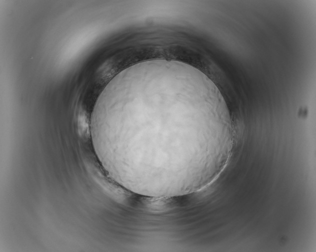 X0000114560191200911091226