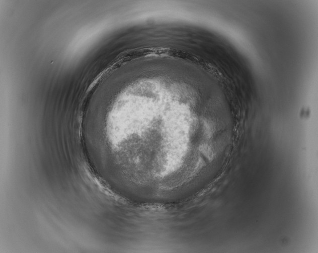 X0000114560194200911091226