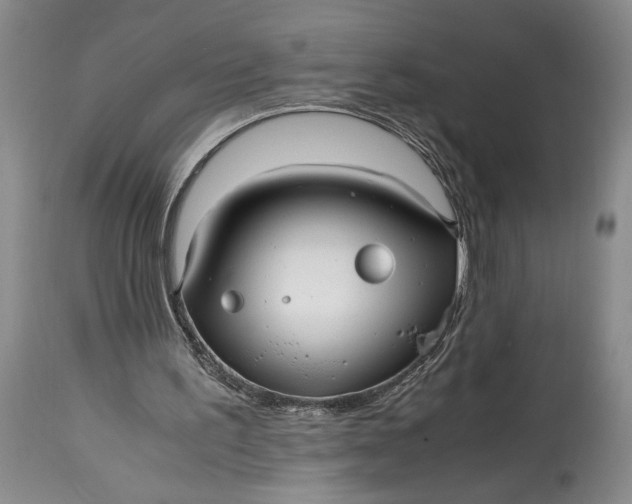 X0000114560195200911091226
