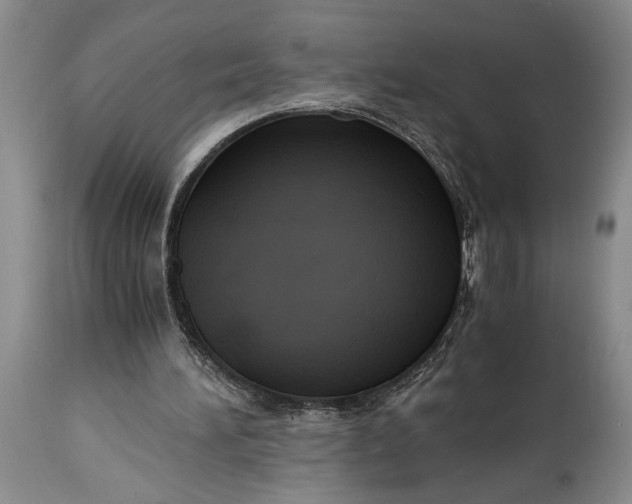 X0000114560196200911091226