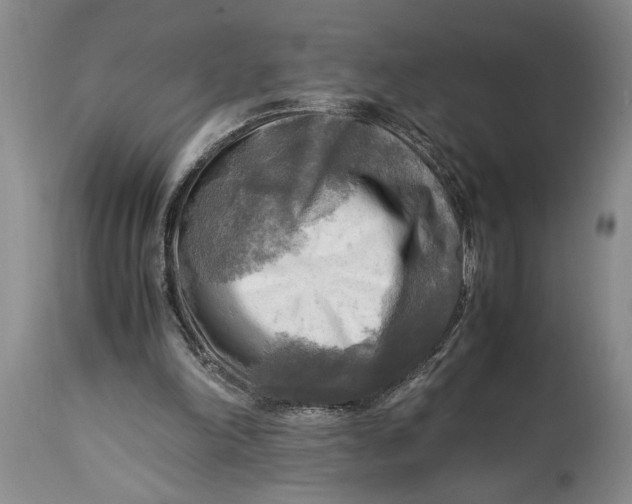 X0000114560198200911091225