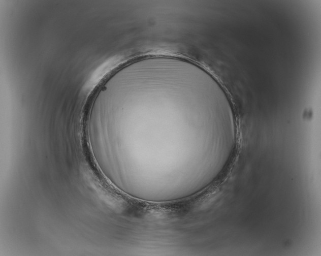 X0000114560199200911091225