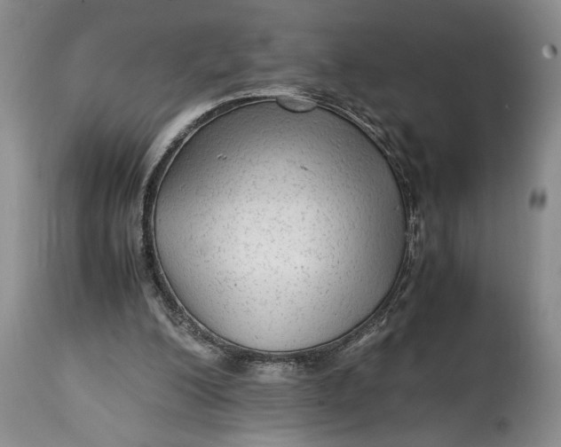 X0000114560200200911091225
