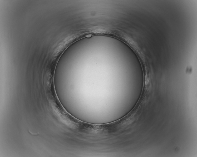 X0000114560201200911091225