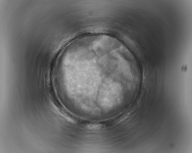 X0000114560202200911091225