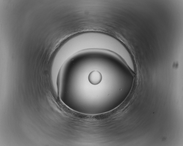 X0000114560203200911091225