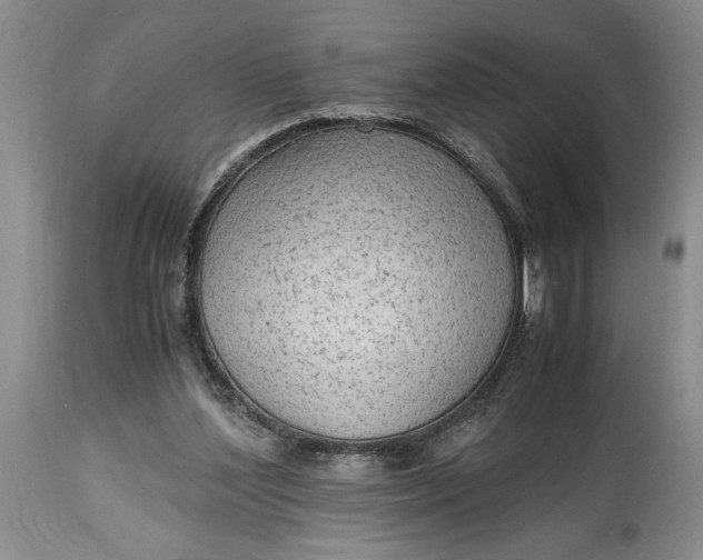 X0000114560204200911091225