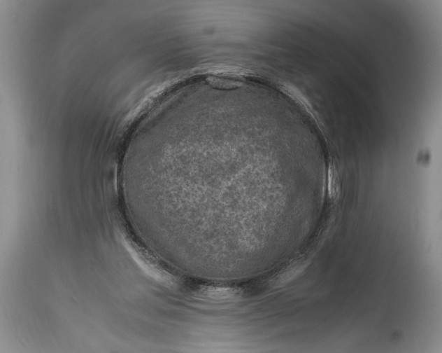X0000114560205200911091225