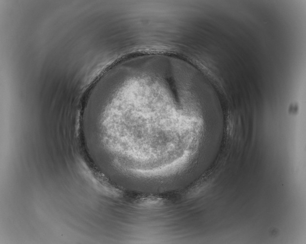 X0000114560206200911091225