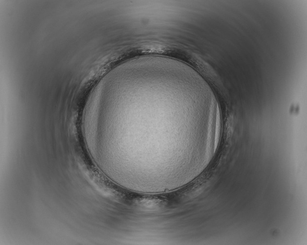 X0000114560209200911091225