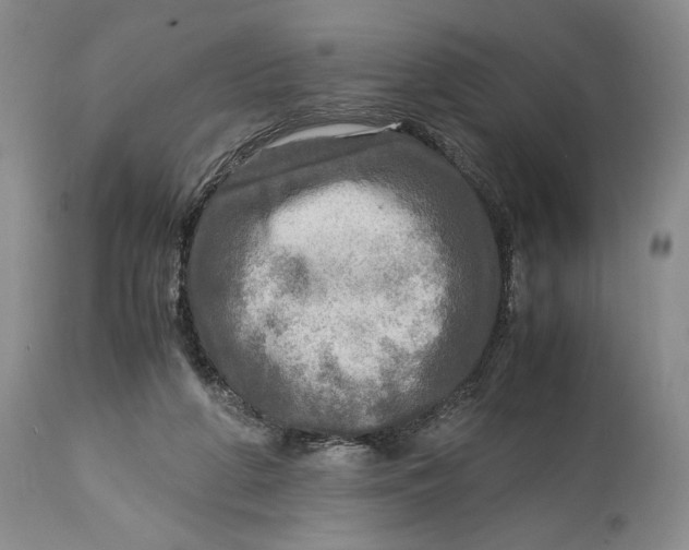 X0000114560210200911091225