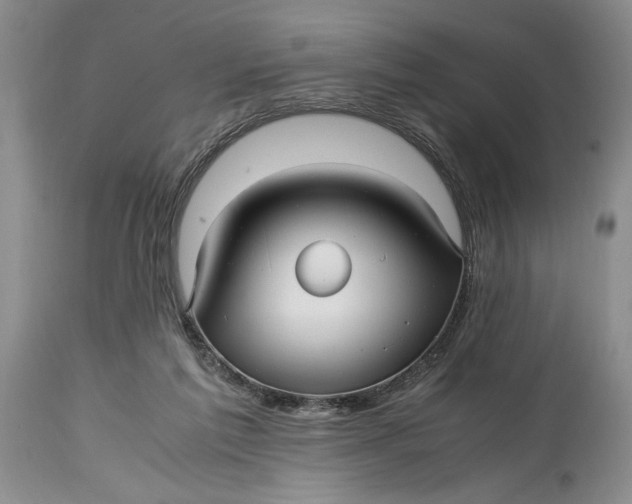 X0000114560213200911091225