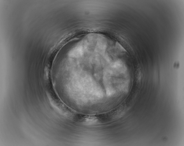 X0000114560214200911091225