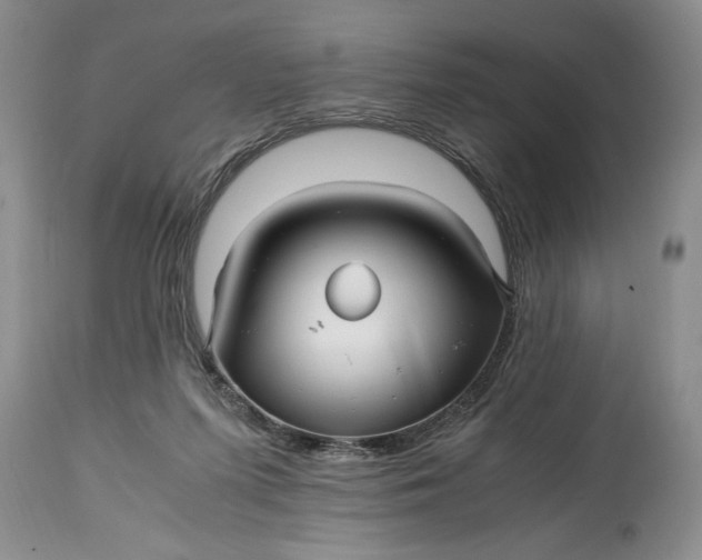 X0000114560215200911091225