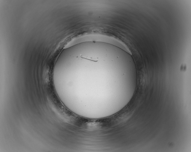X0000114560216200911091225