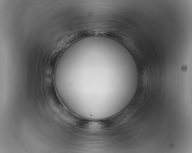 X0000114560218200911091225