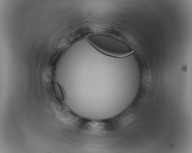 X0000114560221200911091225