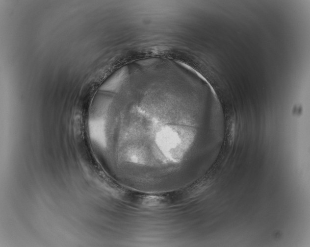 X0000114560222200911091225