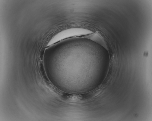 X0000114560223200911091225