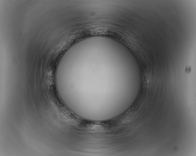 X0000114560224200911091225