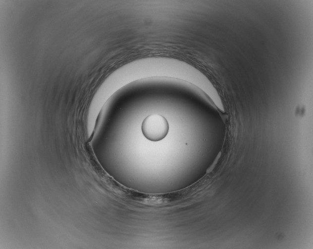 X0000114560225200911091225
