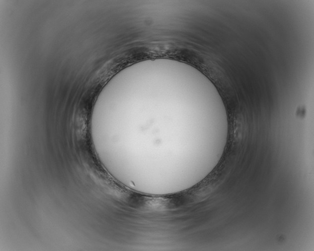 X0000114560226200911091225