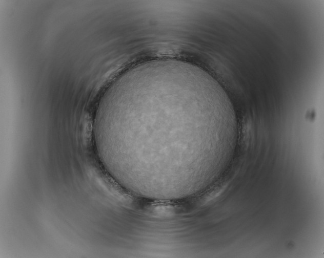 X0000114560228200911091225
