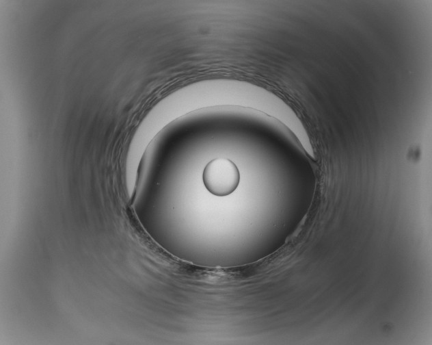 X0000114560229200911091225
