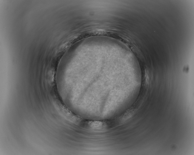X0000114560230200911091225