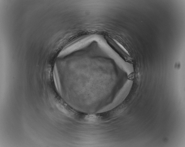 X0000114560231200911091225