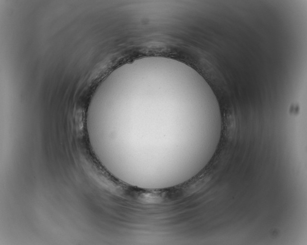 X0000114560232200911091225