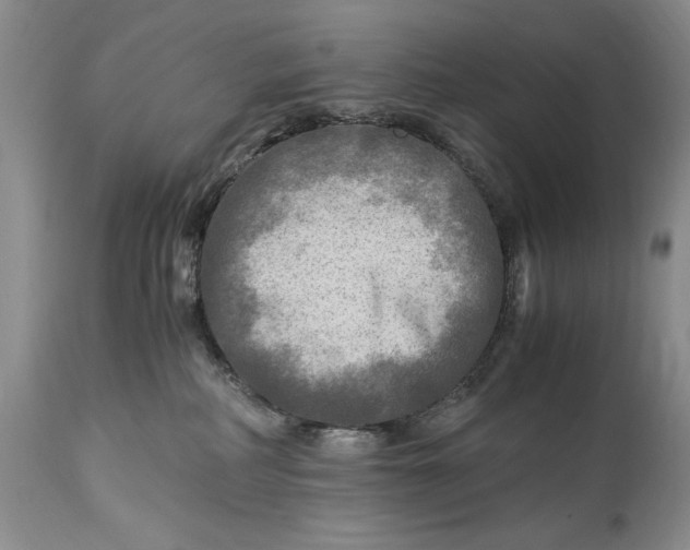 X0000114560234200911091225
