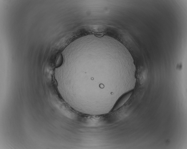 X0000114560235200911091225