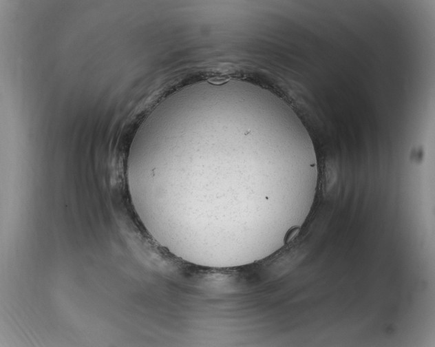 X0000114560236200911091225