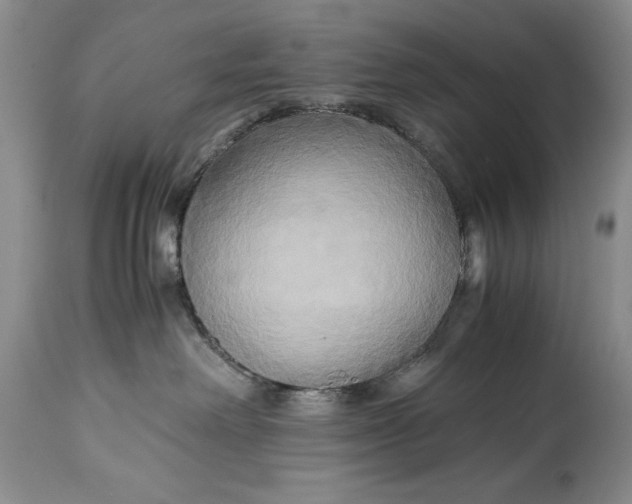 X0000114560238200911091225