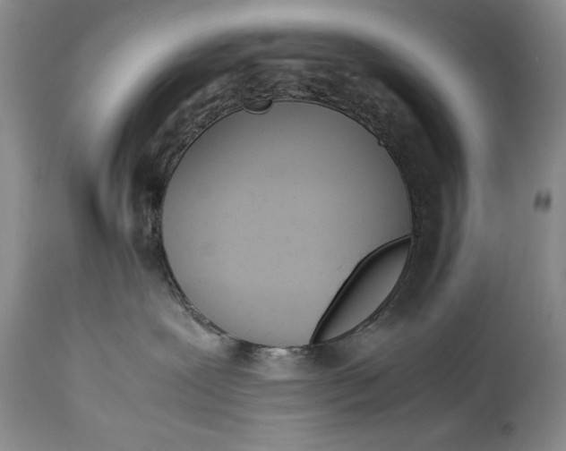 X0000114560239200911091225