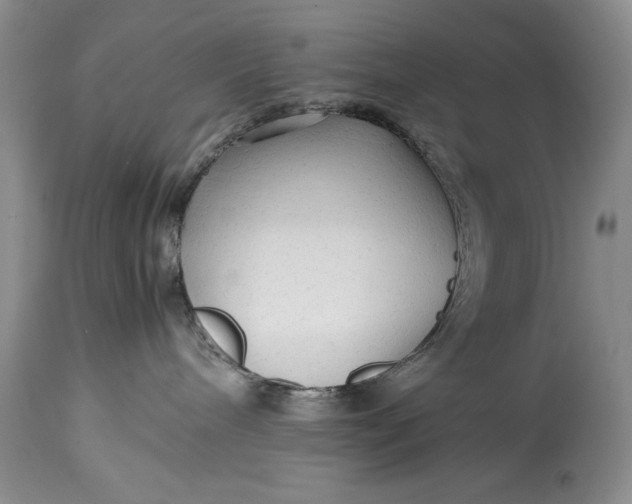 X0000114560240200911091225