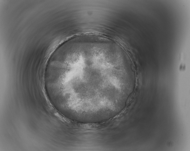 X0000114560241200911091224