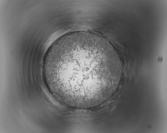 X0000114560242200911091224