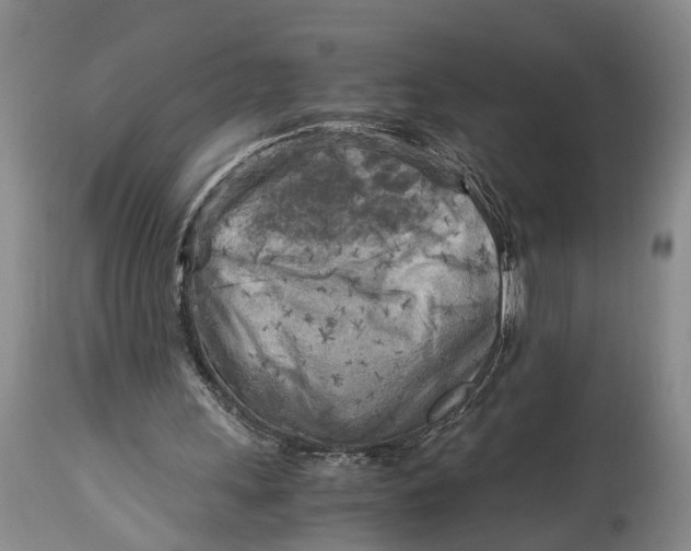 X0000114560243200911091224