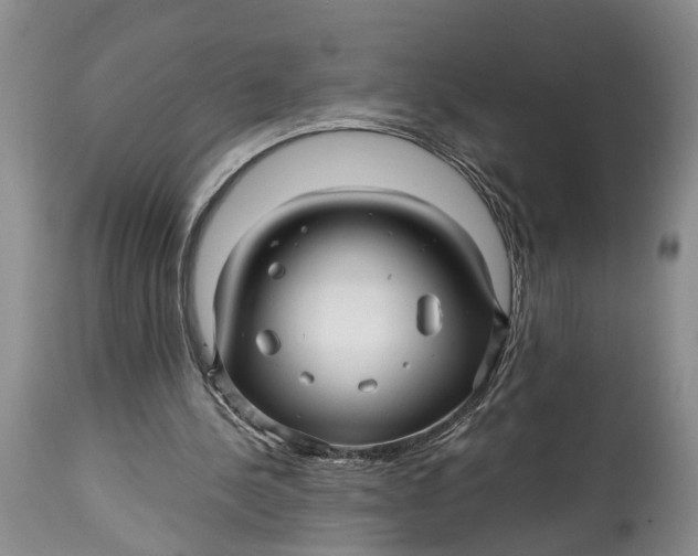 X0000114560244200911091224